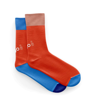 Шкарпетки бавовняні брендовані за XP